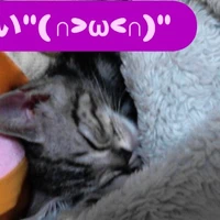画像239