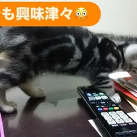 画像240