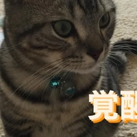 画像245