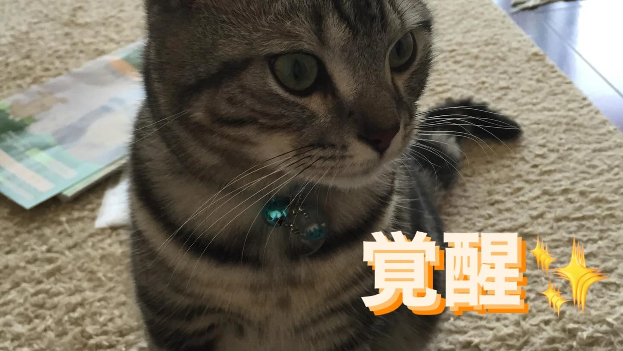 画像245