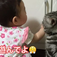 画像246