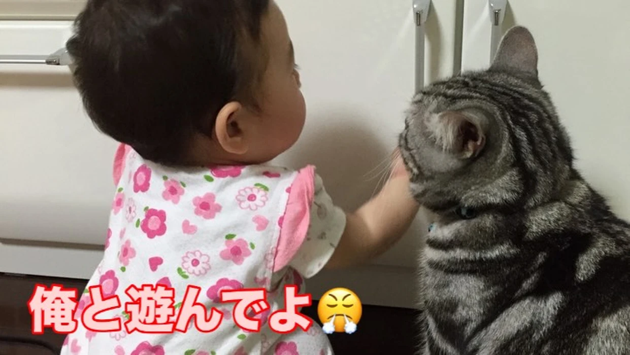 画像246