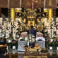 画像250