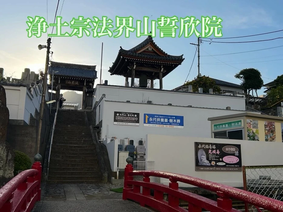 画像263
