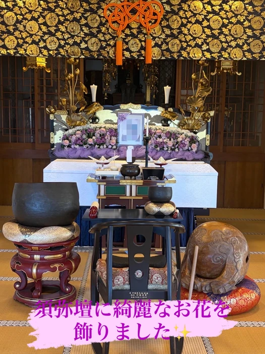 画像270
