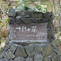 画像311