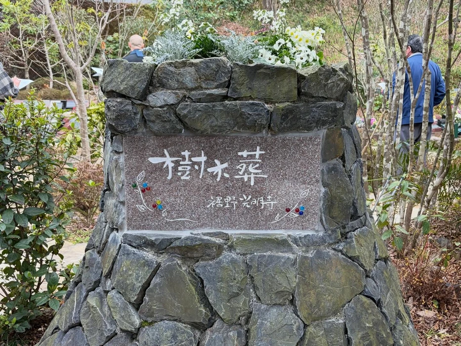 画像311