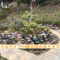 画像312