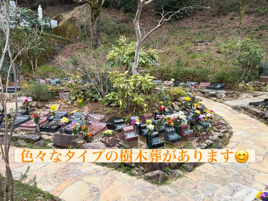 画像312