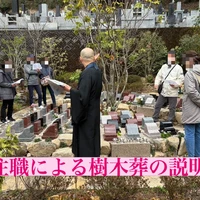 画像316