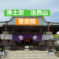 画像337