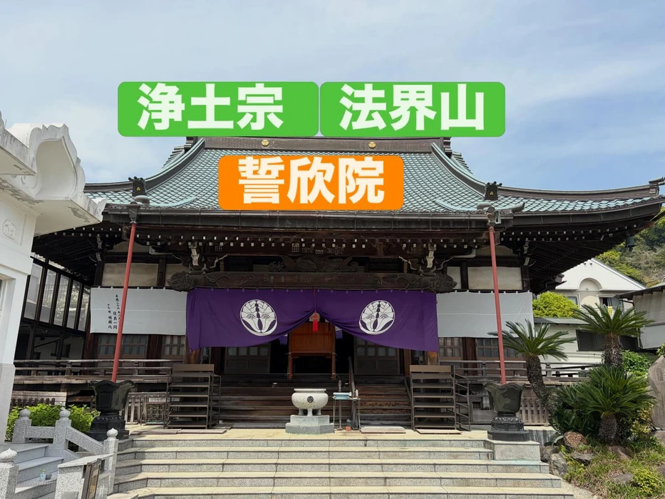 画像337