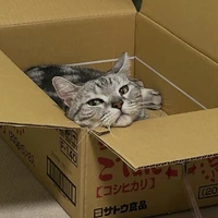 画像370