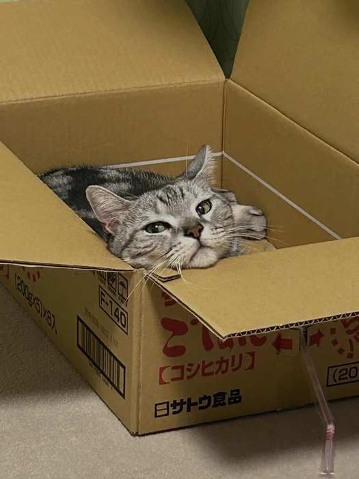 画像370
