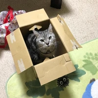 画像375