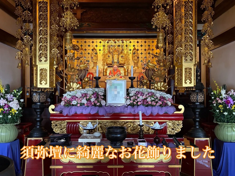 画像440