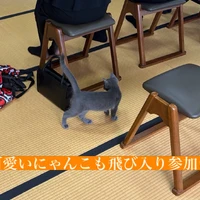 画像484