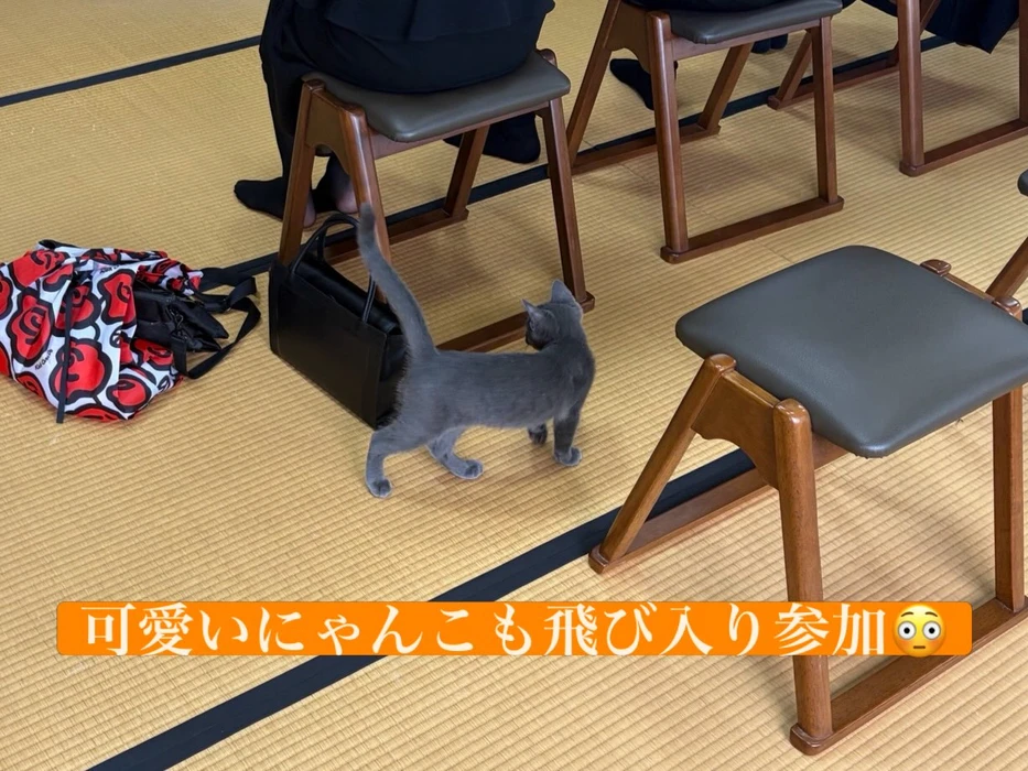 画像484