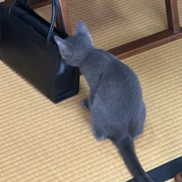 画像485