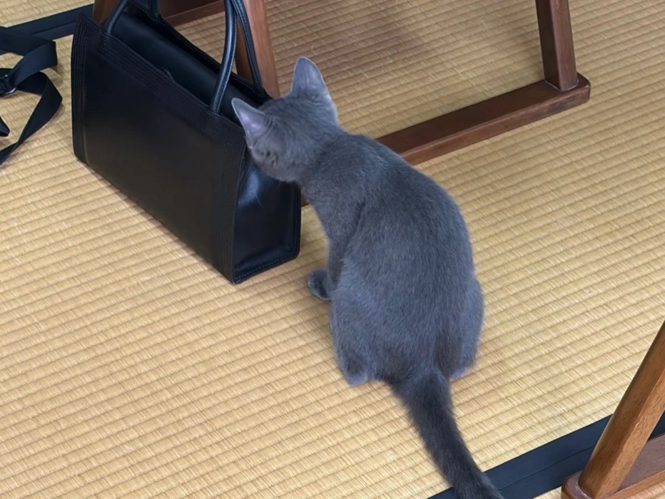画像485