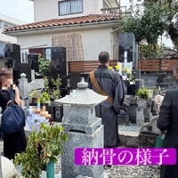 画像486