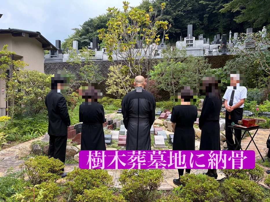 画像493