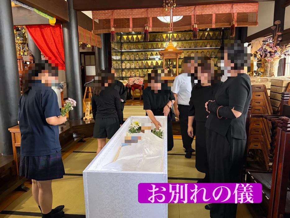 画像499